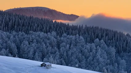 Schneefallgrenze