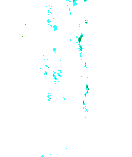 Niederschlagsradar