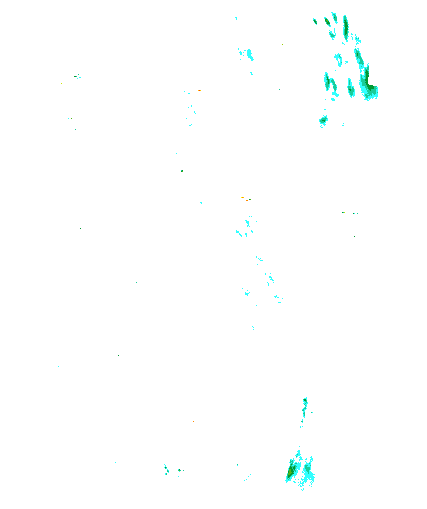 Niederschlagsradar